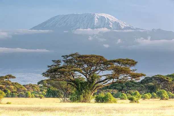 Trekking Kilimanjaro Mountain: 7 Day - Rongai Route